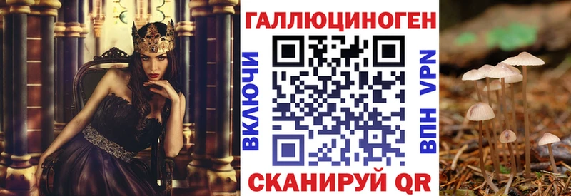 Псилоцибиновые грибы Psilocybe  Купить закладки  Островной 